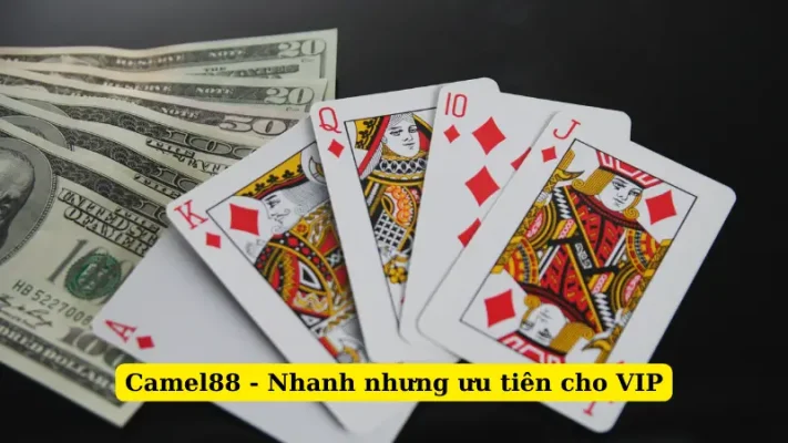 Camel88 - Nhanh nhưng ưu tiên cho VIP